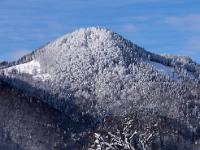 Winterliche Obstbäume und Aschauer Kopf